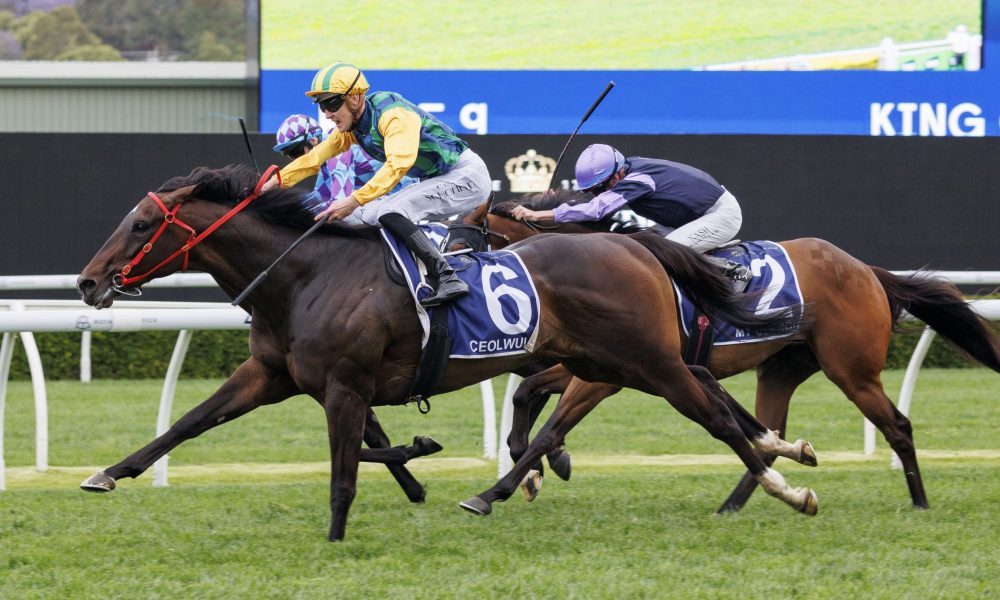 杯资格的选 杯资格的选