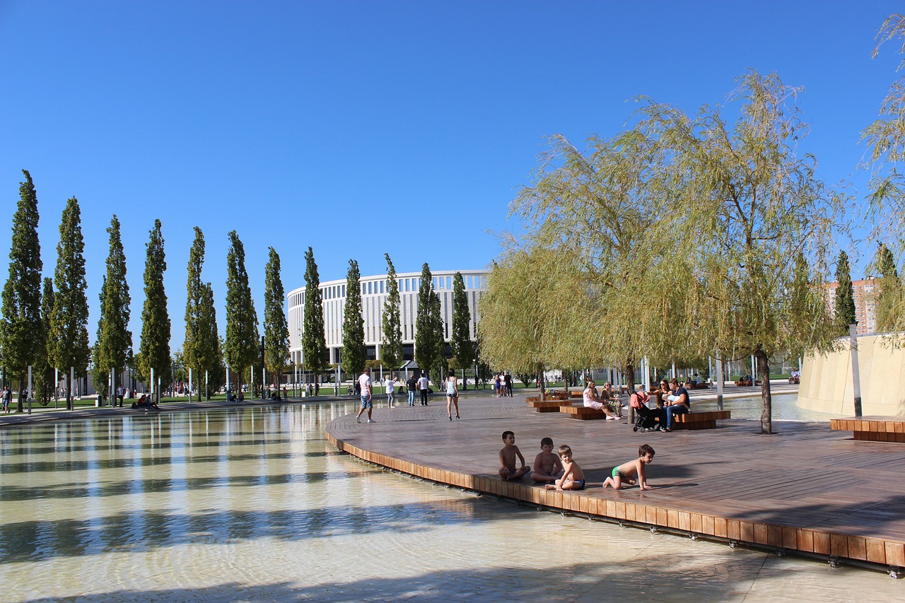 專注於增加 專注於增加