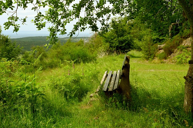 各方球员迅 各方球员迅